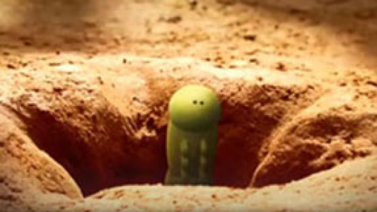 انیمیشن زندگی حشرات - فصل ۱ - قسمت ۱۶