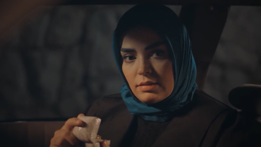 سریال بیگانه‌ای با من است - فصل ۱ - قسمت ۲۰