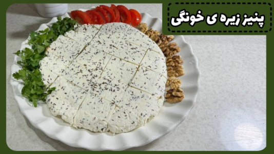 سریال آموزش انواع لبنیات خانگی - آشپزی با مهتاب - فصل ۱ - طرز تهیه پنیر خانگی با زیره