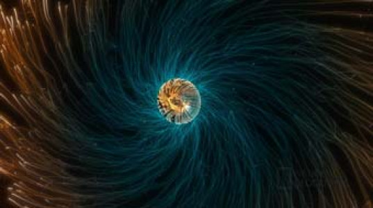 سریال کیهان : جهان‌ های ممکن - فصل ۱ - قسمت ۲ - موهبت موقت منطقه قابل سکونت