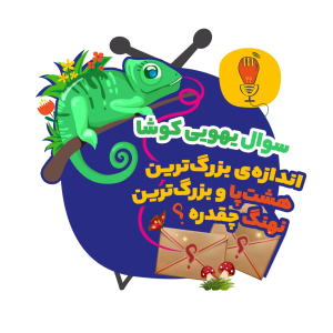 پادکست سوال‌‌های یهویی با آقای پی - فصل ۱ - کوشا: اندازه‌ی بزرگ‌ترین هشت‌پا و بزرگ‌ترین نهنگ چقدره؟