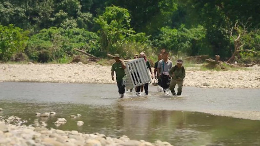 سریال زاده برای وحشی بودن - فصل ۱ - قسمت ۱ - توله خرس ماه