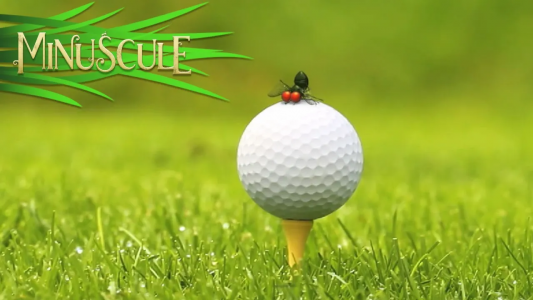 انیمیشن زندگی حشرات کوچولو - فصل ۱ - قسمت ۱۸