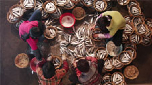 سریال اصالت خوش طعم - فصل ۱ - قسمت ۱۷ - توپ ماهی و ماهی پیچیده شده 