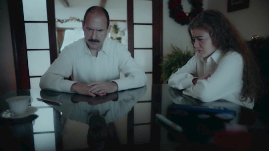 سریال فراموشی ۱۹۸۶ - فصل ۱ - قسمت ۷ - دولت فراری