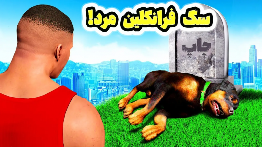  استریم جی‌تی‌ای ۵: عجیب‌ترین اتفاقات - امیر اس‌ورد - فصل ۱ - داخل جی‌تی‌ای سگ فرانکلین رو یکی کشته