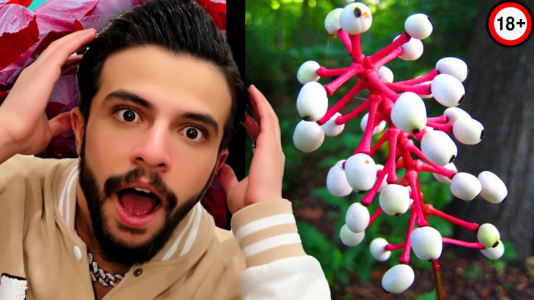 سریال دانستنی‌ها با ابوالفضل ایکس مستر - فصل ۱ - این گل زجرکش میکنه