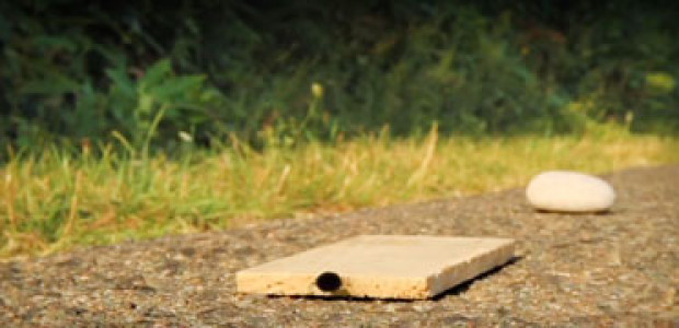 انیمیشن زندگی حشرات - فصل ۱ - قسمت ۲۷