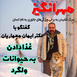  پادکست مهرانگیز - فصل ۱ - گفتگو با دکتر ایمان معماریان: غذا دادن به حیوانات ولگرد