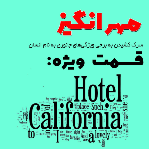  پادکست مهرانگیز - فصل ۱ - اپیزود ویژه: هتل کالیفرنیا