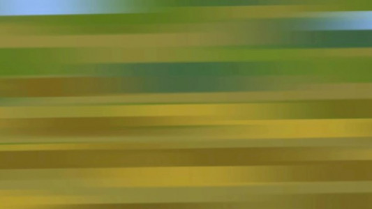 انیمیشن گربه طبیعت - فصل ۱ - قسمت ۷۴ - تار عنکبوتی