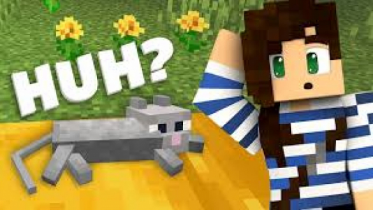  استریم ماینکرفت آموزشی ۱ - استوری مد - فصل ۱ - گربه ها