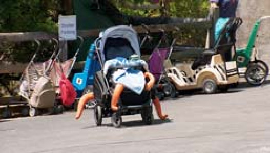 سریال پیکسار در دنیای واقعی - فصل ۱ - قسمت ۲ - وال ای: گمشده و پیدا شده