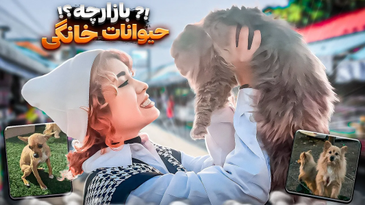 سریال دنیای حیوانات با کلوا - فصل ۱ - بازار دستفروش‌های حیوانات خانگی