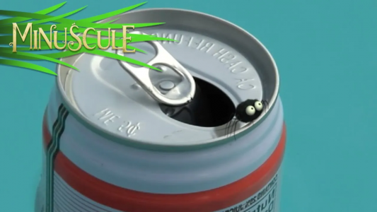 انیمیشن زندگی حشرات کوچولو - فصل ۱ - قسمت ۲۳