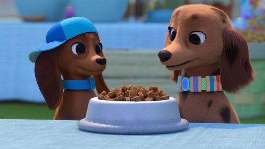 انیمیشن پرتزل و توله سگ ها - فصل ۱ - قسمت ۶ - برنامه باید ادامه پیدا کنه!