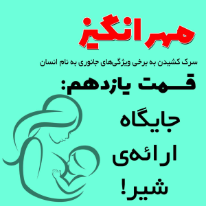  پادکست مهرانگیز - فصل ۱ - اپیزود یازدهم: جایگاه ارائه شیر!