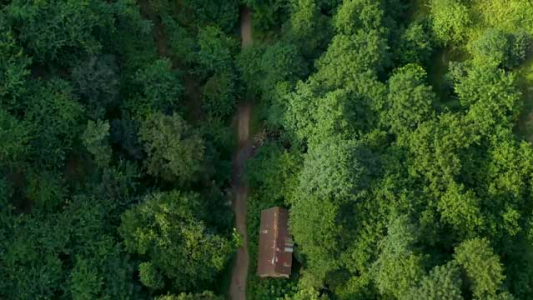 سریال سوجان - فصل ۱ - قسمت ۷