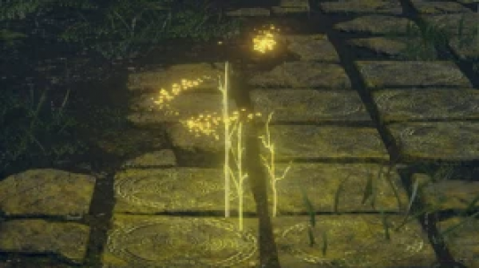  استریم الدن رینگ ۱ - ام اچ ۱۲ - فصل ۱ - فارم ۳۰۰۰۰۰، رون و ایکس پی