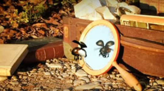 انیمیشن زندگی حشرات - فصل ۱ - قسمت ۵۰