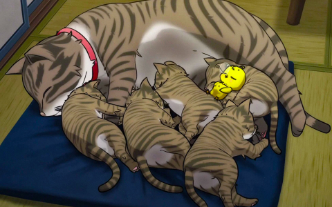 انیمیشن خروس جنگی - فصل ۱ - قسمت ۴ - گروه درهم‌وبرهم پراکنده می‌شود