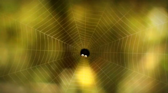 انیمیشن زندگی حشرات - فصل ۱ - قسمت ۵۸