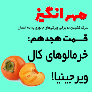  پادکست مهرانگیز - فصل ۱ - اپیزود هجدهم: خرمالوهای کال ویرجینیا!