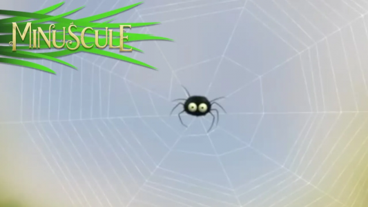 انیمیشن زندگی حشرات کوچولو - فصل ۱ - قسمت ۱۱