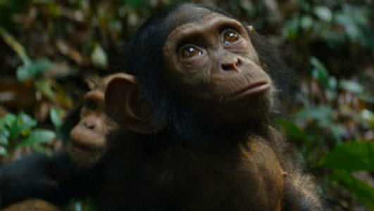 سریال جهان ما - فصل ۱ - قسمت ۲ - ساعت کیهانی