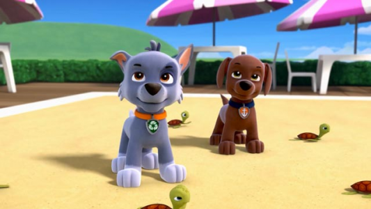 انیمیشن سگ های نگهبان - فصل ۱ - قسمت ۲ - میریم لاک پشت‌ها رو نجات بدیم