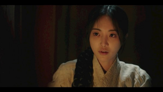 سریال وکیل چوسان - فصل ۱ - قسمت ۱۴ - نخوا: شکوفه‌های در حال ریزش (بخش دوم)