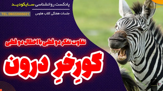 سریال انگیزه و رشد شخصی - پادکست روانشناسی سایکودید - فصل ۱ - تفاوت تفکر دوقطبی با اختلال روانی دوقطبی