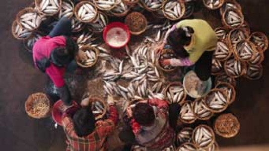 سریال اصالت خوش طعم - فصل ۱ - قسمت ۳ - خرچنگ ترشی شده