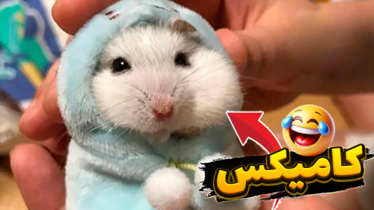  استریم خفن‌ترین‌ها و باحال‌ترین گیم‌ها ۱۲ - علی کامیکس - فصل ۱ - من یه همسترم! سمی ترین سیچان دنیا
