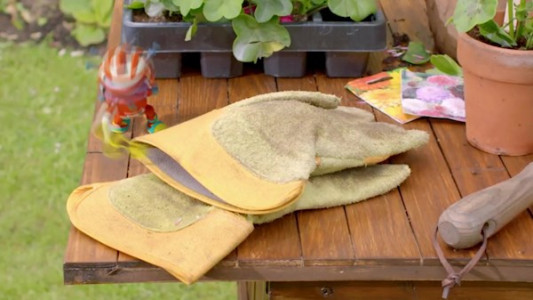 سریال فضایی ها - فصل ۱ - قسمت ۱۹