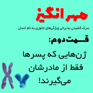  پادکست مهرانگیز - فصل ۱ - اپیزود دوم: ژنهایی که پسرها فقط از مادرشان می گیرند