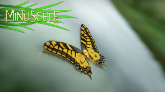 انیمیشن زندگی حشرات کوچولو - فصل ۱ - قسمت ۲۷