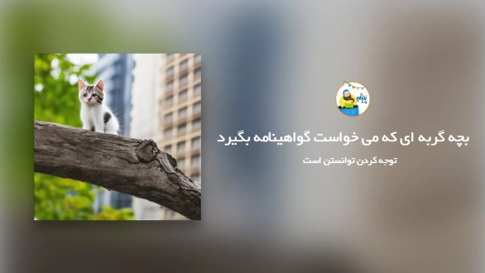 سریال قصه‌های پیژام - فصل ۱ - بچه گربه‌ای که میخواست گواهینامه بگیرد