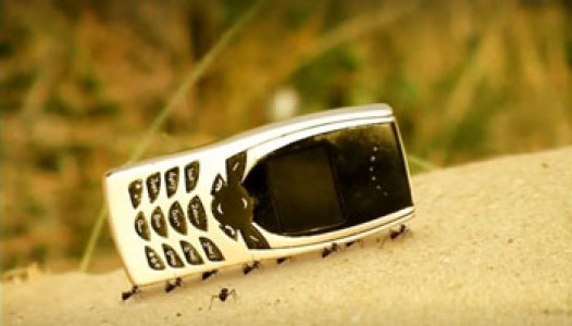 انیمیشن زندگی حشرات - فصل ۱ - قسمت ۵۲