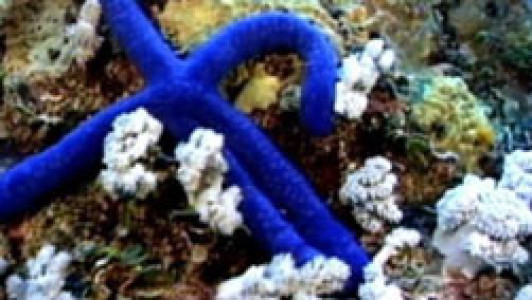 سریال درون کرم چاله - فصل ۱ - قسمت ۵ - چگونه به اینجا رسیدیم؟