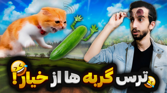 سریال چالش با ارچی اگزایت - فصل ۱ - گربه ها از خیار میترسن؟ واگعیه یا کیک؟