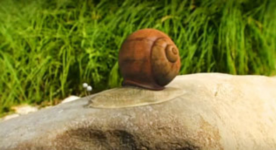 انیمیشن زندگی حشرات - فصل ۱ - قسمت ۴۴