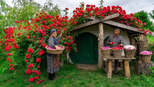 سریال زندگی روستایی - آشپزی در طبیعت - فصل ۱ - مربای گل سرخ سنتی، دستور خانگی با گل‌های تازه