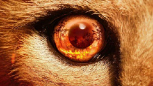 سریال شکارچیان - فصل ۱ - قسمت ۱ - یوزپلنگ