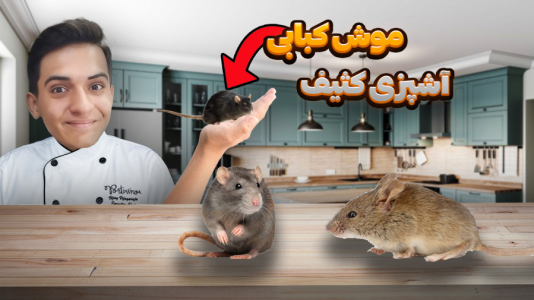  استریم بازی‌های شبیه‌ساز - مرتضی مکسر - فصل ۱ - مغازه آتیش گرفتتتتت!؟