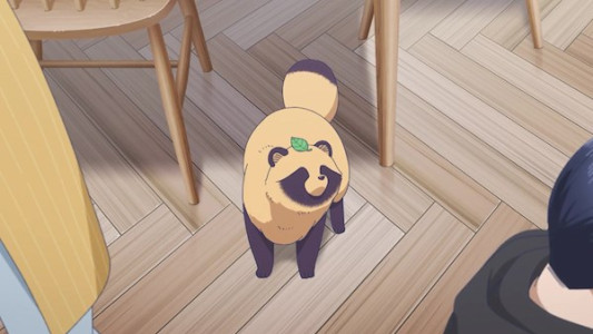 انیمیشن با تو و باران - فصل ۱ - قسمت ۶ - گربه و کدوتنبل