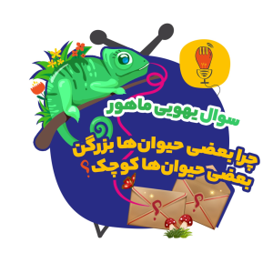 پادکست سوال‌‌های یهویی با آقای پی - فصل ۱ - ماهور: چرا بعضی حیوان‌ها بزرگن، بعضی حیوان‌ها کوچک؟