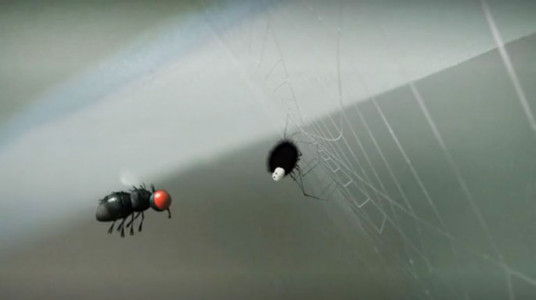 انیمیشن زندگی حشرات - فصل ۱ - قسمت ۶۳