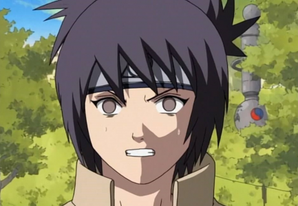 انیمیشن ناروتو - فصل ۱ - قسمت ۲۹