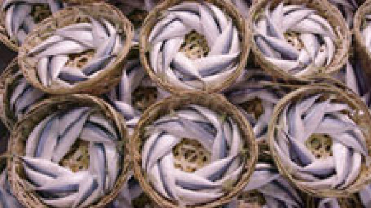 سریال اصالت خوش طعم - فصل ۱ - قسمت ۱۵ - وعده غذایی ماهی 